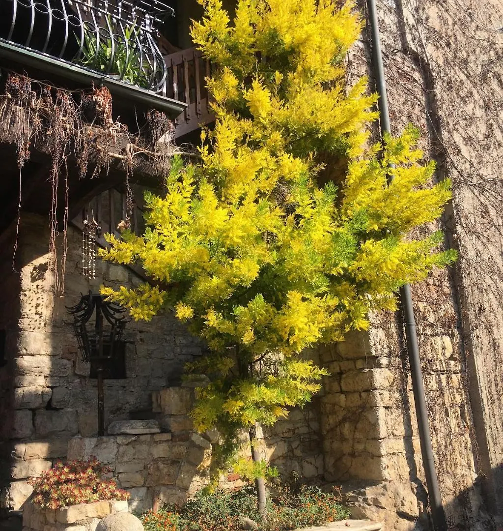 Torre De Salis Bed & Breakfast Gussago